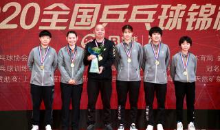 马龙樊振东王楚钦金牌
