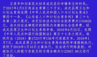 三胎社会抚养费交多少