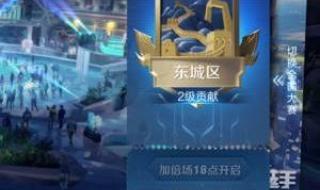 王者荣耀城市徽章4级