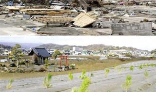 日本强震引发5米海啸