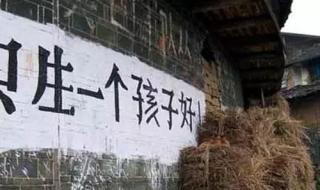 只生一个好政府来养老