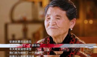 杨子为什么要打黄圣依