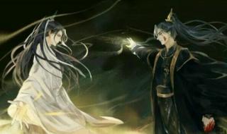 二哈和他的白猫师尊结局