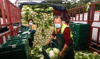 河南回应7万吨蔬菜滞销