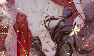 二哈和他的白猫师尊结局