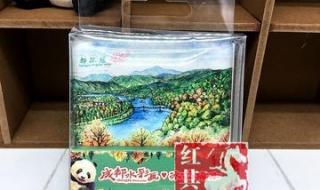 西安人都在晒的绿色熊猫贴 西安人都在晒的绿色熊猫贴