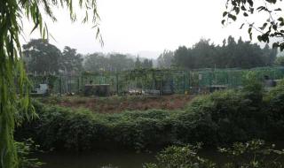 枣庄仙坛山温泉小镇 枣庄仙坛山温泉小镇