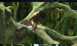 少年派的奇幻漂流高清下载