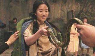 林更新P图回复刘亦菲 林更新P图回复刘亦菲