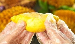 首批国产榴莲预计本月上市 首批国产榴莲预计本月上市