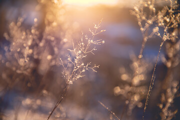 烟花爆竹经营许可证(烟花爆竹经营许可证办理需要多久) 烟花爆竹经营许可证
