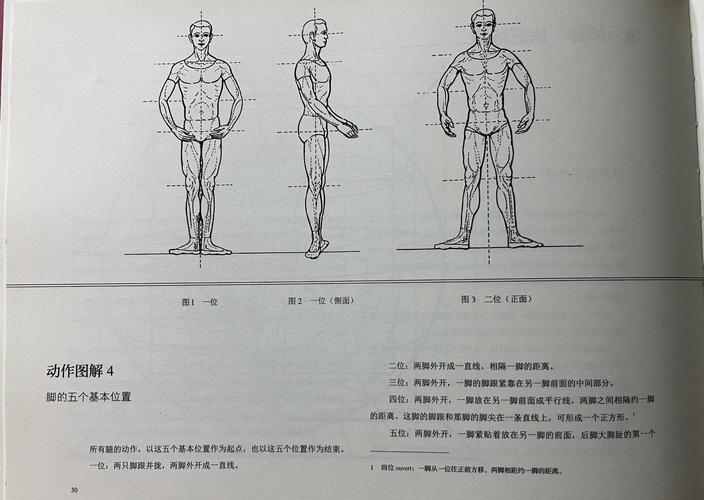 芭蕾舞基本脚位(芭蕾舞的基本脚位)