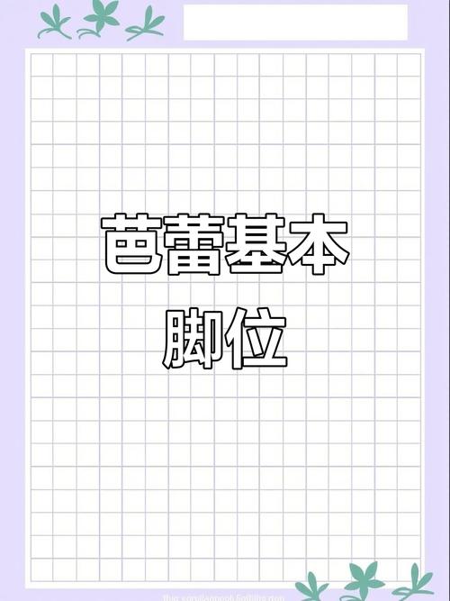 芭蕾舞基本脚位(芭蕾舞的基本脚位)