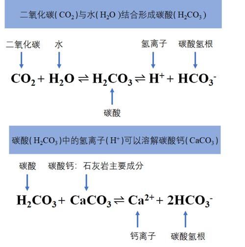 喀斯特地貌成因(喀斯特地貌成因化学方程式)