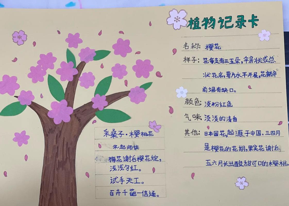 植物记录卡怎么做图片三年级 植物记录卡怎么做图片