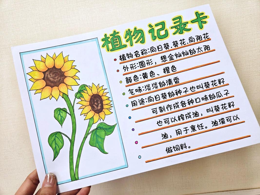 植物记录卡怎么做图片三年级 植物记录卡怎么做图片
