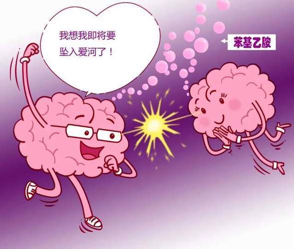 苯基乙胺与爱情是什么意思 苯基乙胺与爱情的关系