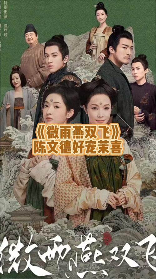 微雨双飞燕在哪个台播出 微雨双飞燕电视剧免费