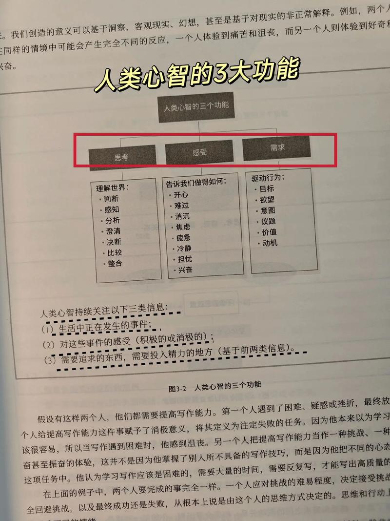 批判性思维培养(批判性思维培养的书)